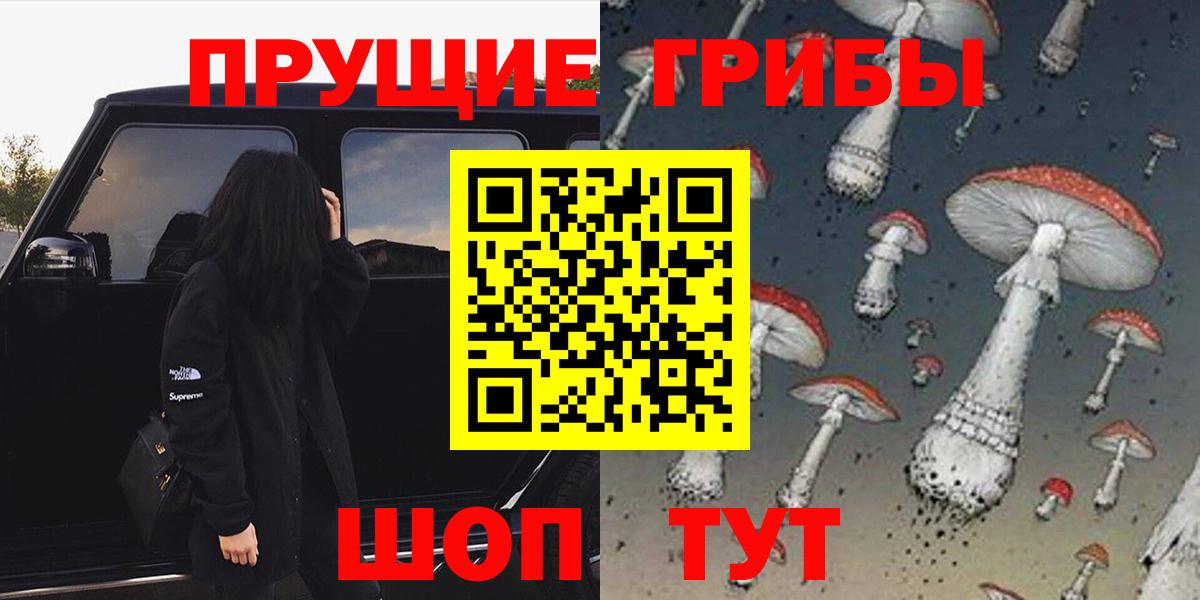 Десногорск  Галлюциногенные грибы прущие грибы  Вход с VPN 